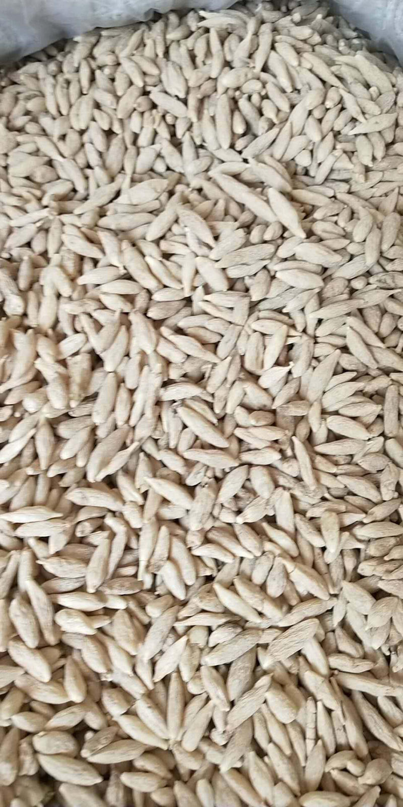 麦冬一手货源批发零售各种规格