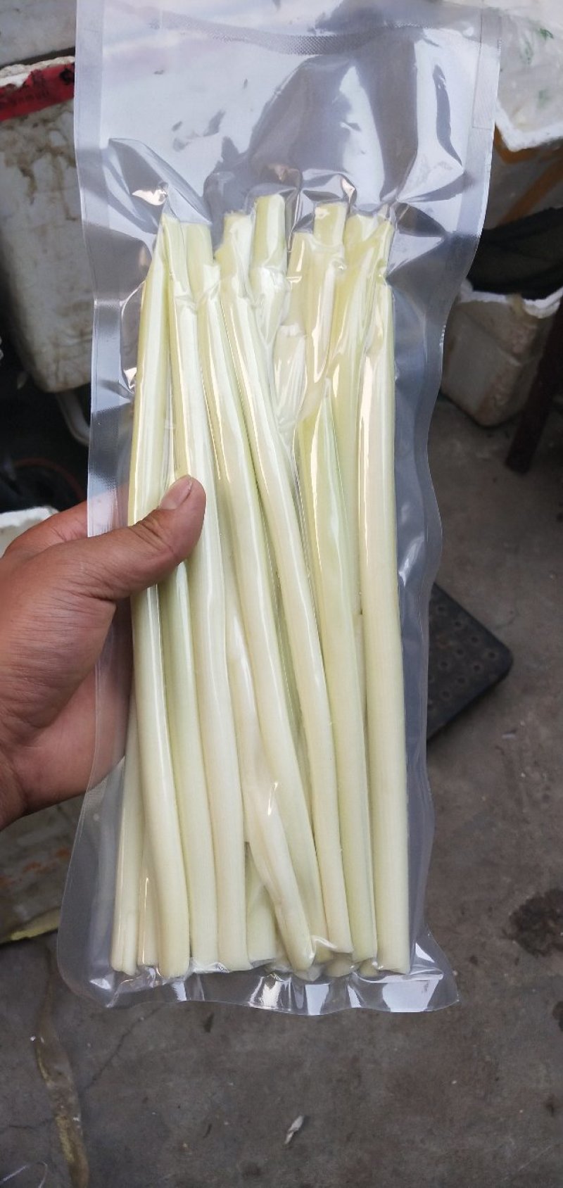 大量供应鲜蒲菜物美价廉，量大从优欢迎你的光临