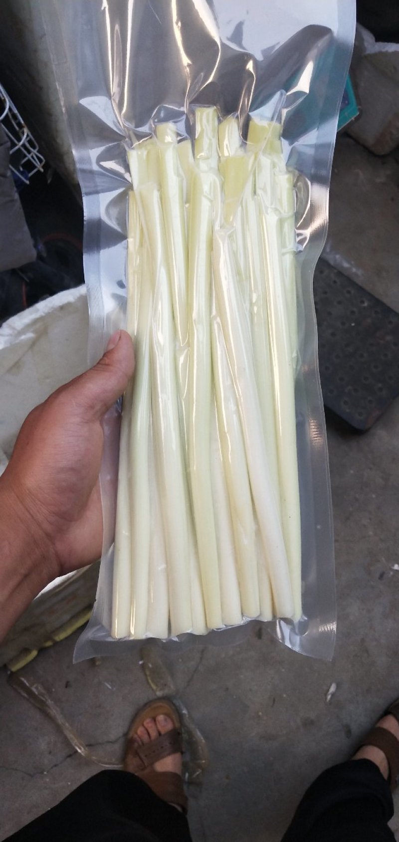 大量供应鲜蒲菜物美价廉，量大从优欢迎你的光临