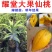 蛋黄果直生苗耀堂仙桃嫁接苗水果新贵品质保证