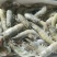 精品大青虾，去头虾，虾仁，国产大虾，价钱便宜，质量保障