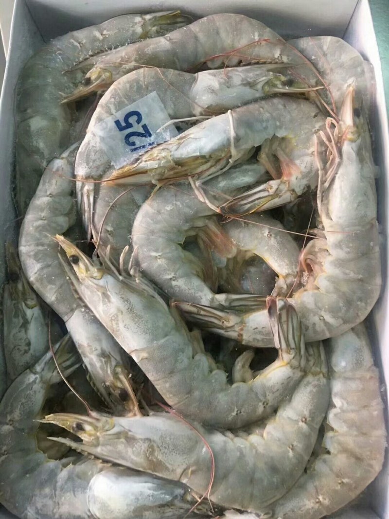 精品大青虾，去头虾，虾仁，国产大虾，价钱便宜，质量保障