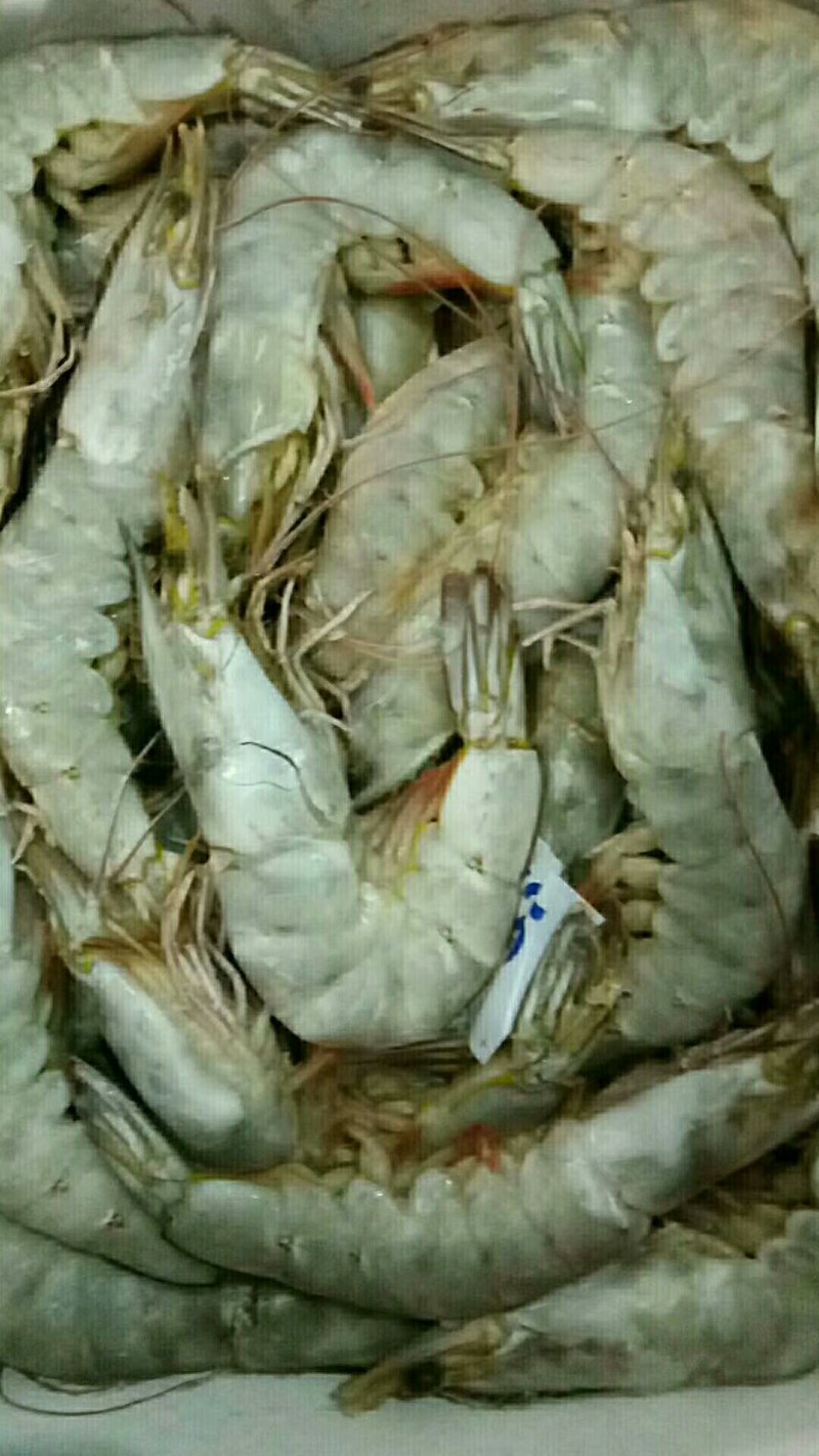 精品大青虾，去头虾，虾仁，国产大虾，价钱便宜，质量保障