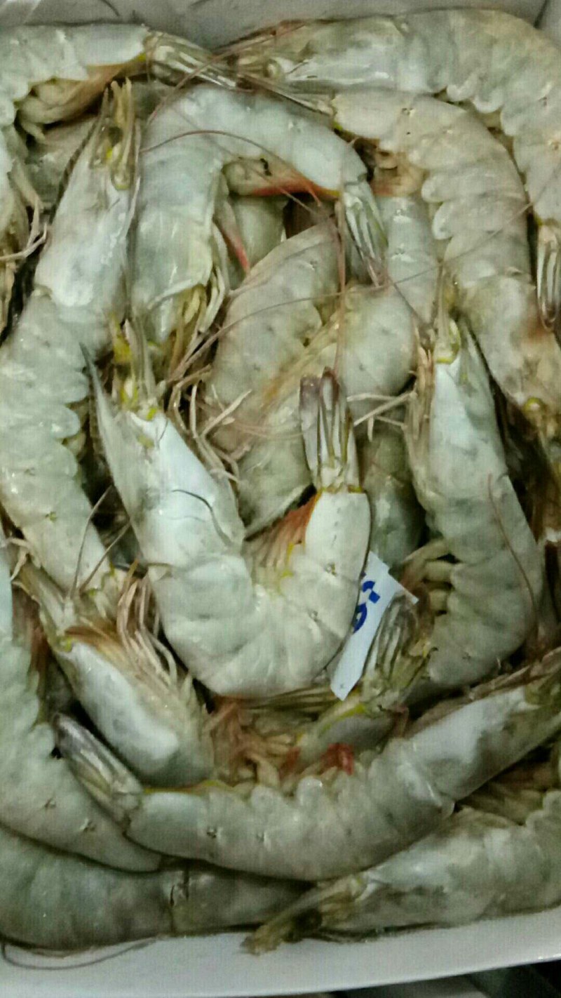 精品大青虾，去头虾，虾仁，国产大虾，价钱便宜，质量保障