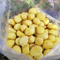 农副土特产板栗仁现剥现卖