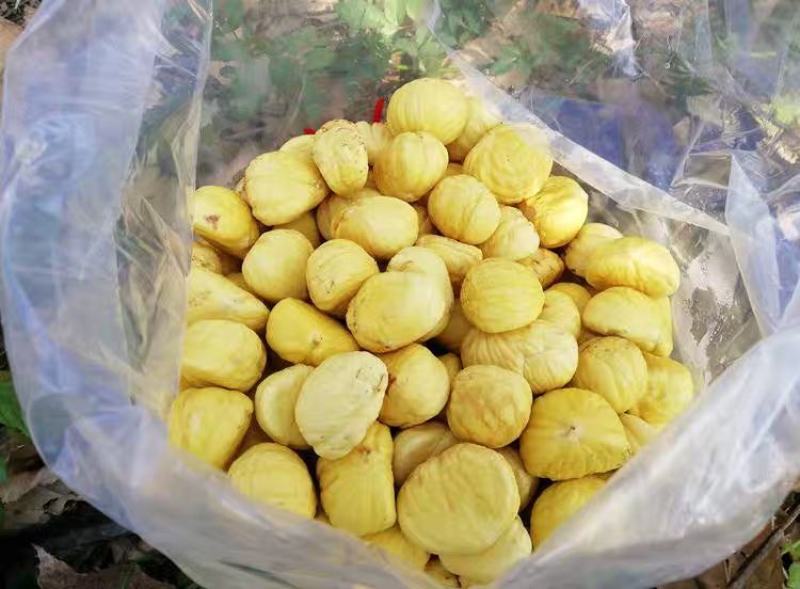 农副土特产板栗仁现剥现卖
