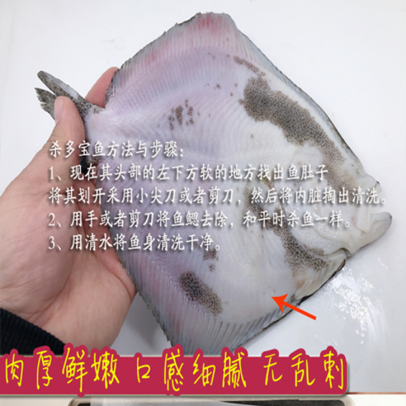 鲜活速冻多宝鱼海捕多宝鱼新鲜速冻发货