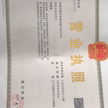 一点红油豆角