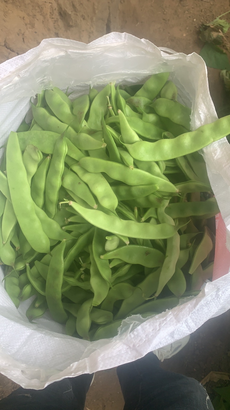 一点红油豆角