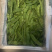 一点红油豆角