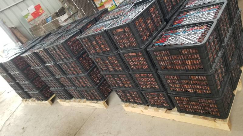 原产地一手货源大中小圆饼、吊饼、特级柿饼供应链