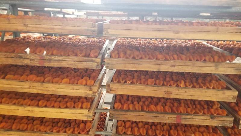 原产地一手货源大中小圆饼、吊饼、特级柿饼供应链