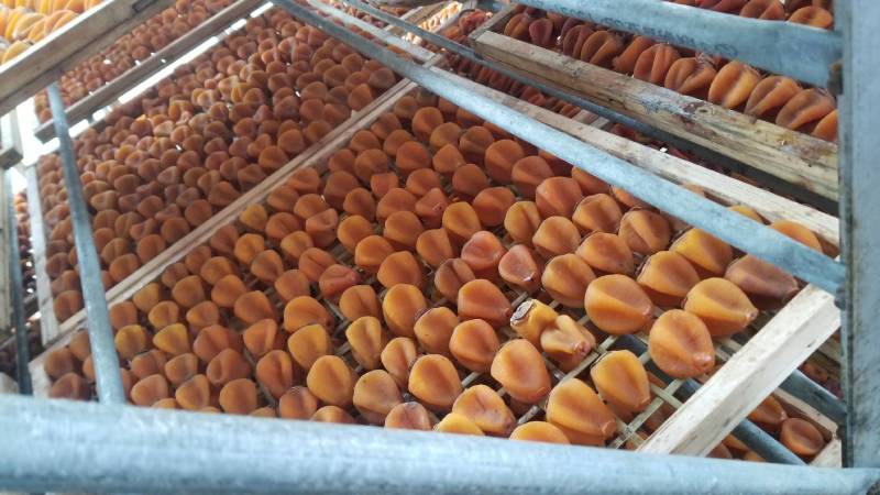 原产地一手货源大中小圆饼、吊饼、特级柿饼供应链
