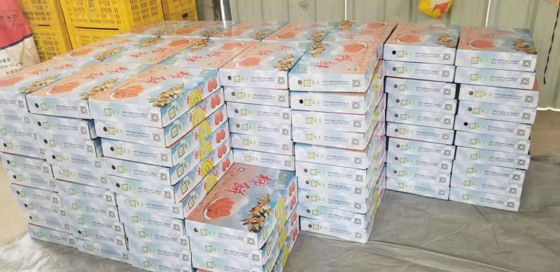 原产地一手货源大中小圆饼、吊饼、特级柿饼供应链