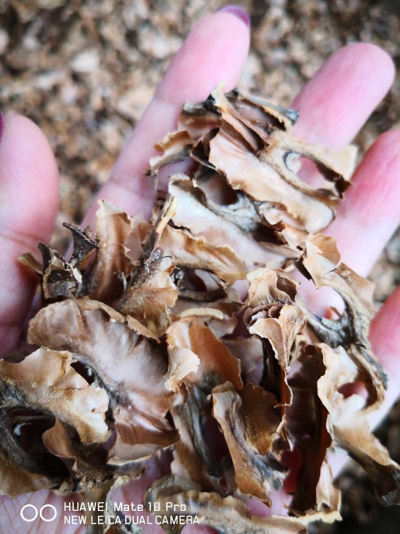 分心木特级新疆干货2斤起包邮量大从优