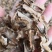 分心木特级新疆干货2斤起包邮量大从优