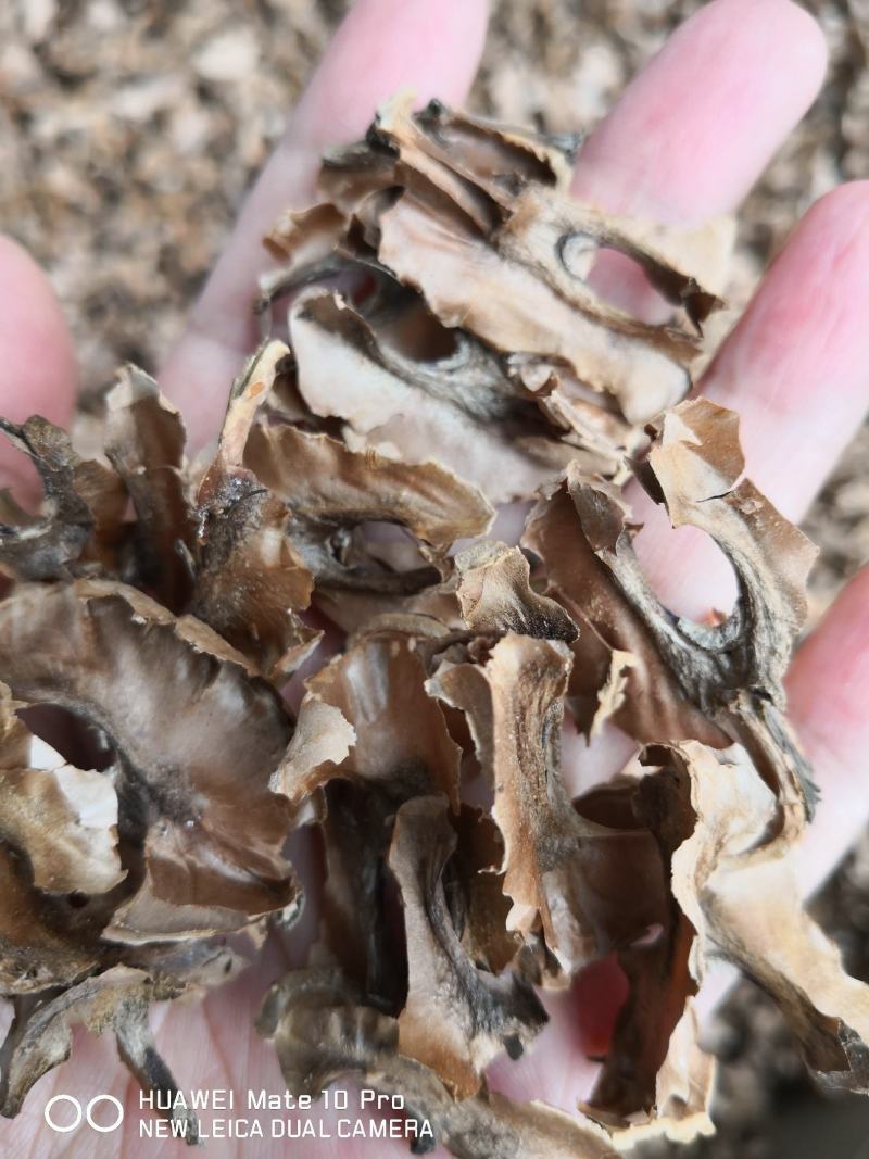 分心木特级新疆干货2斤起包邮量大从优