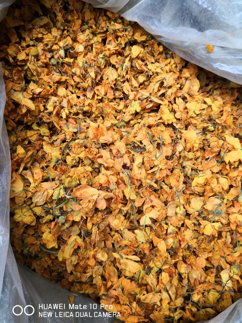 金莲花内蒙干货1斤起包邮量大从优