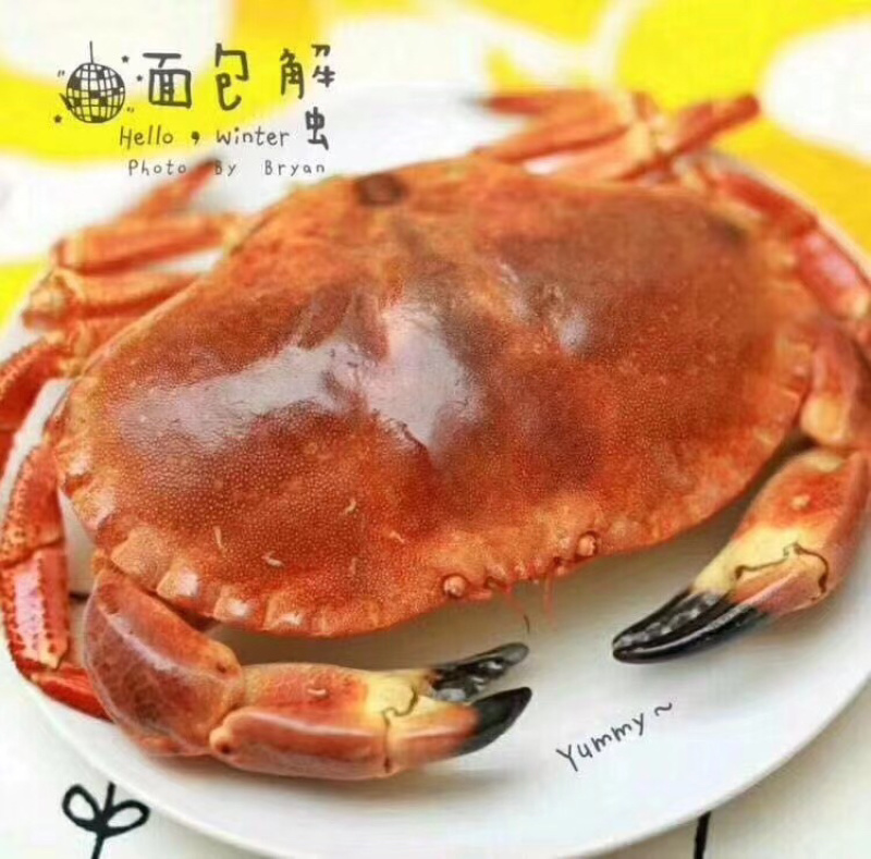 海鲜礼盒海鲜套餐面包蟹套餐