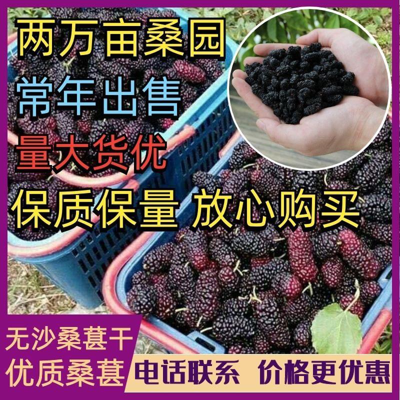 【热销】无沙桑椹干，药食两用质优价廉产地直销可对接各