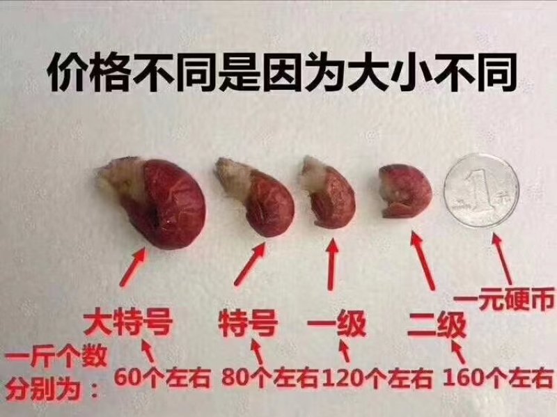 清水，现剥，小龙虾尾