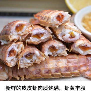 大号熟冻皮皮虾全母皮皮虾带黄虾爬子