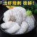 本地活剥大虾仁新鲜速冻虾仁青虾仁原浆虾仁