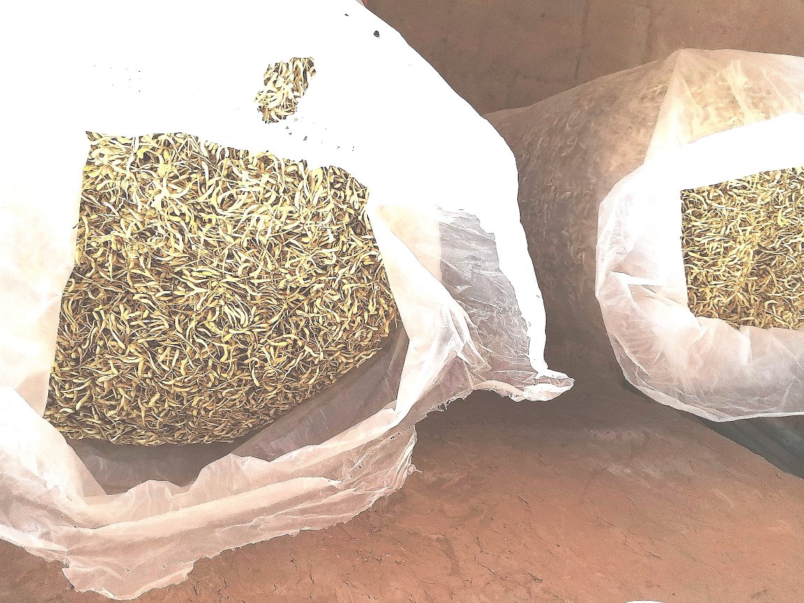 白芷成品包装图