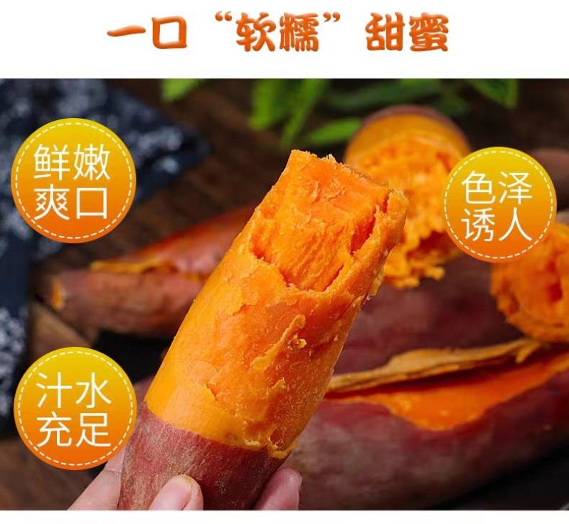 【现挖现发】新鲜红薯蜜薯烟薯沙地黄心红薯一件代发