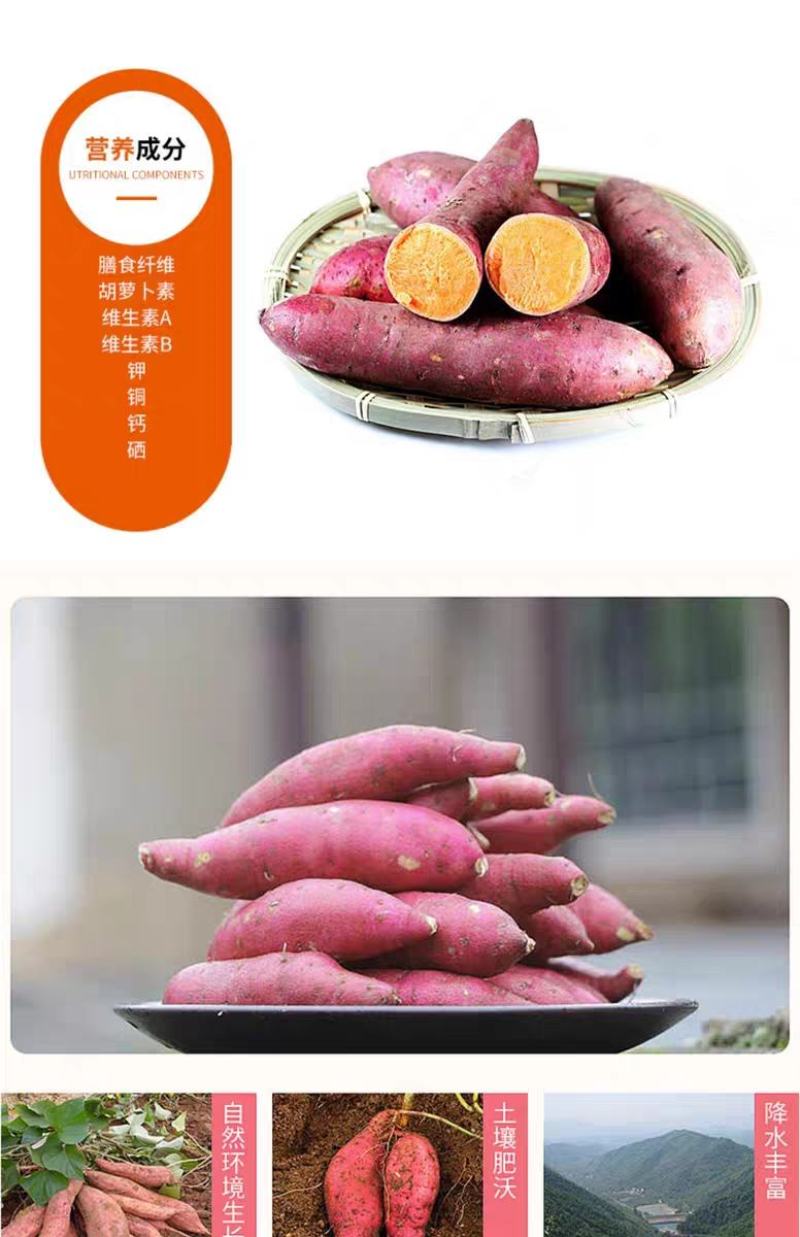 【现挖现发】新鲜红薯蜜薯烟薯沙地黄心红薯一件代发