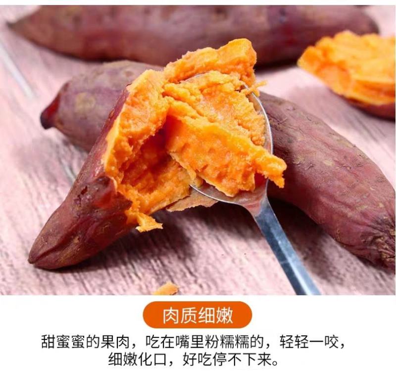 【现挖现发】新鲜红薯蜜薯烟薯沙地黄心红薯一件代发