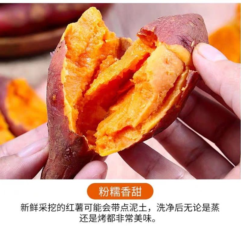 【现挖现发】新鲜红薯蜜薯烟薯沙地黄心红薯一件代发