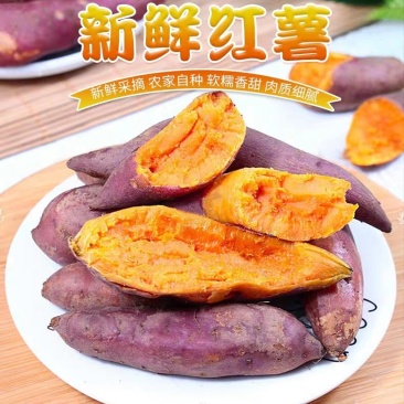 【现挖现发】新鲜红薯蜜薯烟薯沙地黄心红薯一件代发