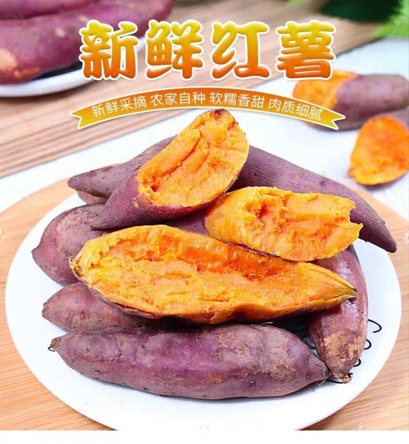 【现挖现发】新鲜红薯蜜薯烟薯沙地黄心红薯一件代发