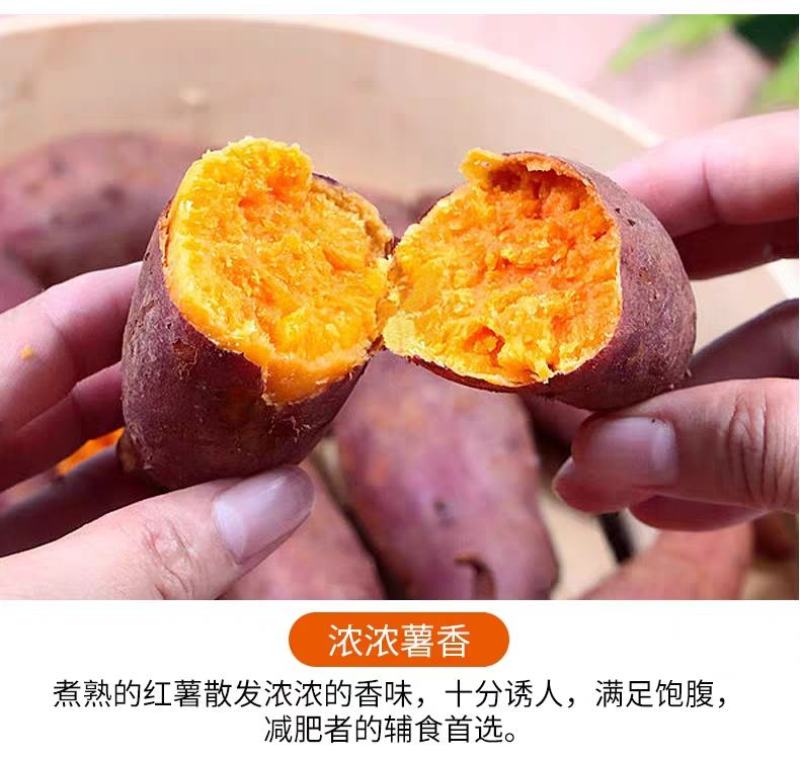 【现挖现发】新鲜红薯蜜薯烟薯沙地黄心红薯一件代发
