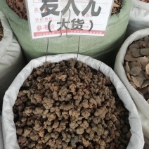 夏天无，夏天无统货批发加零售