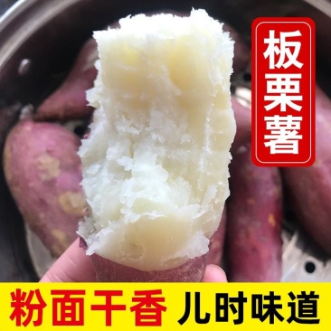 白薯,板栗薯,山东特产红薯,新鲜蔬菜白心红薯干粉香糯番薯