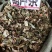 葫芦茶量大优惠。2020年新货。