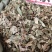 葫芦茶量大优惠。2020年新货。