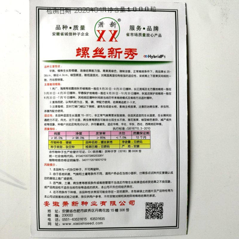 螺丝新秀辣椒种子早熟耐低温弱光