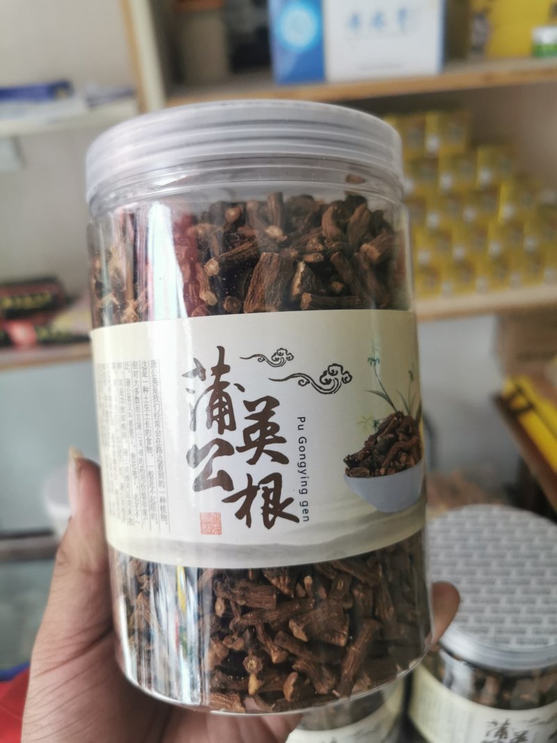 中药材蒲公英根批发零售价格从优产地直销