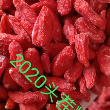 宁夏红枸杞新品种宁杞7号干货头茬果粒粒精品