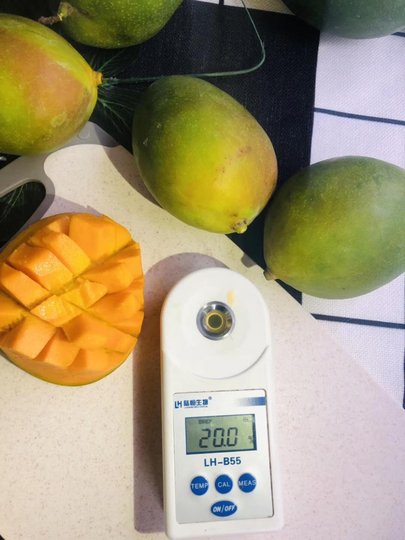 攀枝花凯特肉多汁水饱满