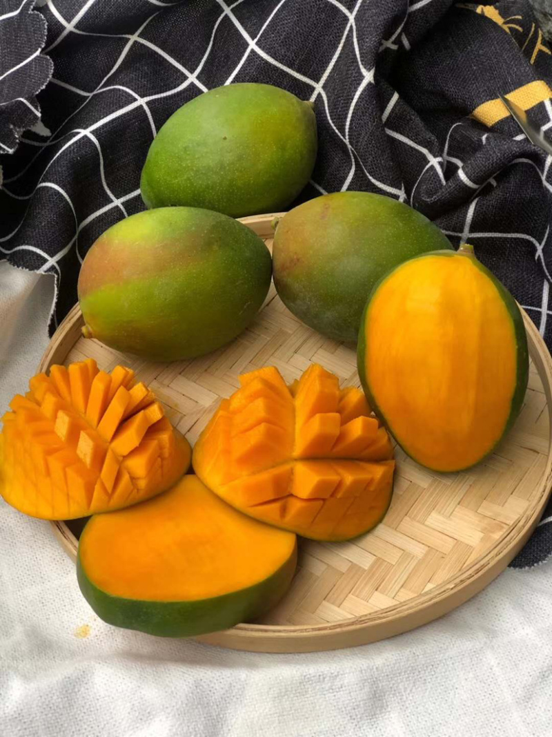 攀枝花凯特肉多汁水饱满
