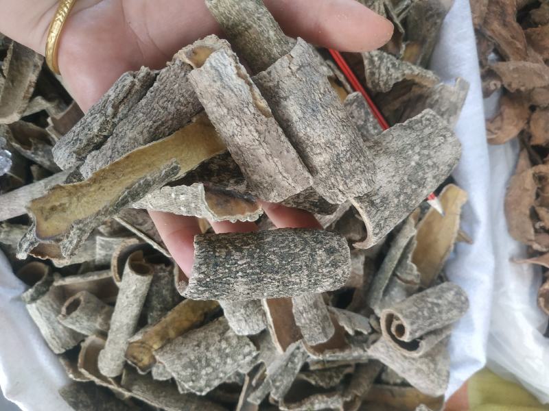 救必应～新货～量大优惠～1公斤起售～欢迎咨询采购