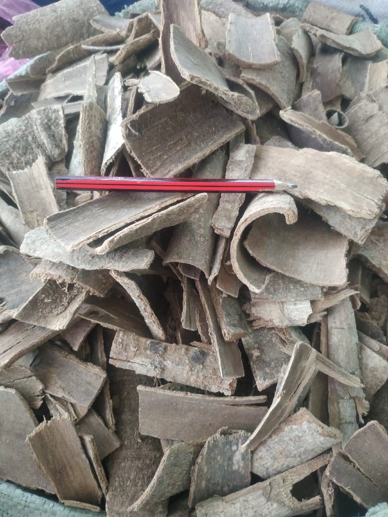 鸭脚木皮～新货～量大优惠~一公斤起售~
