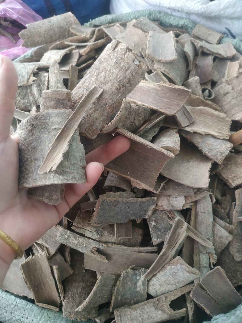 鸭脚木皮～新货～量大优惠~一公斤起售~