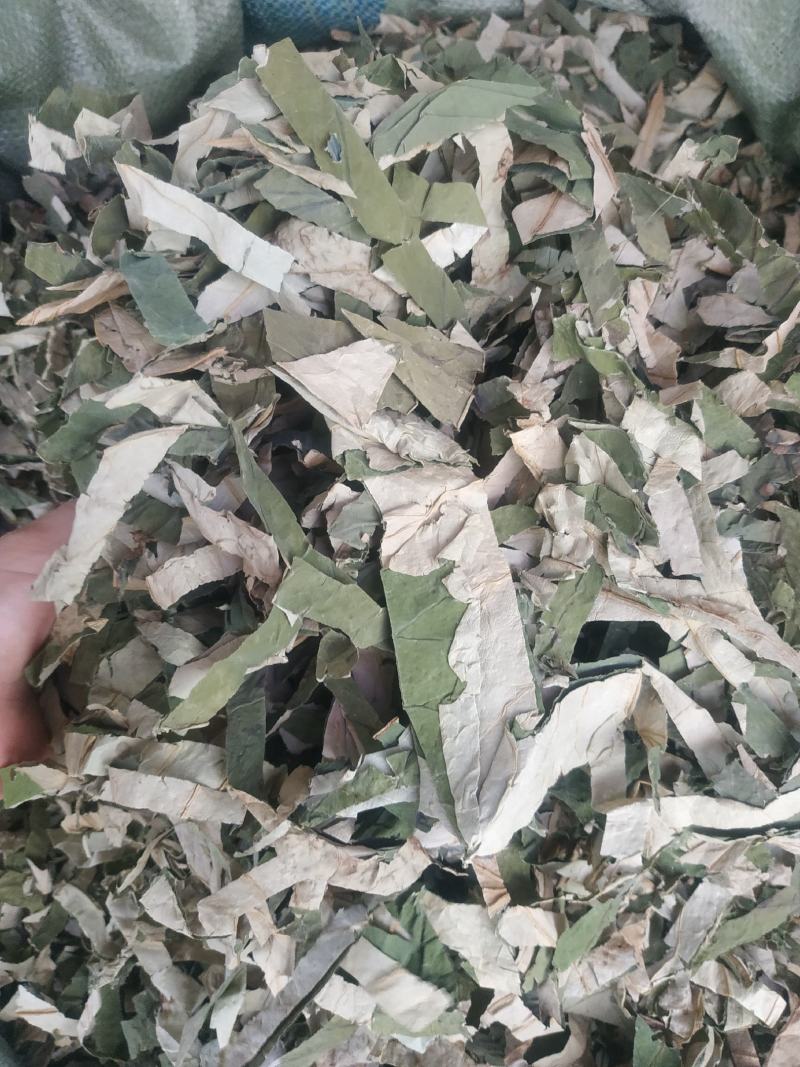 荷叶～荷叶丝@~新货量大优惠～1公斤起售~欢迎咨询采购