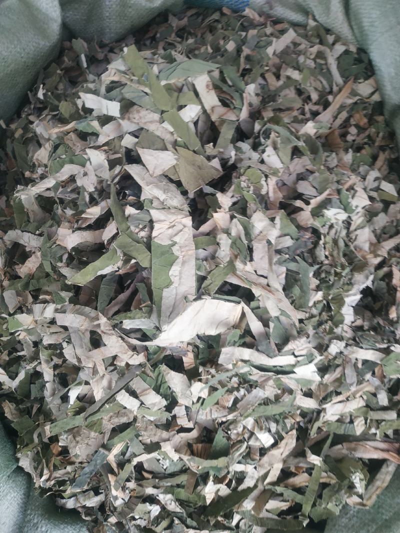 荷叶～荷叶丝@~新货量大优惠～1公斤起售~欢迎咨询采购