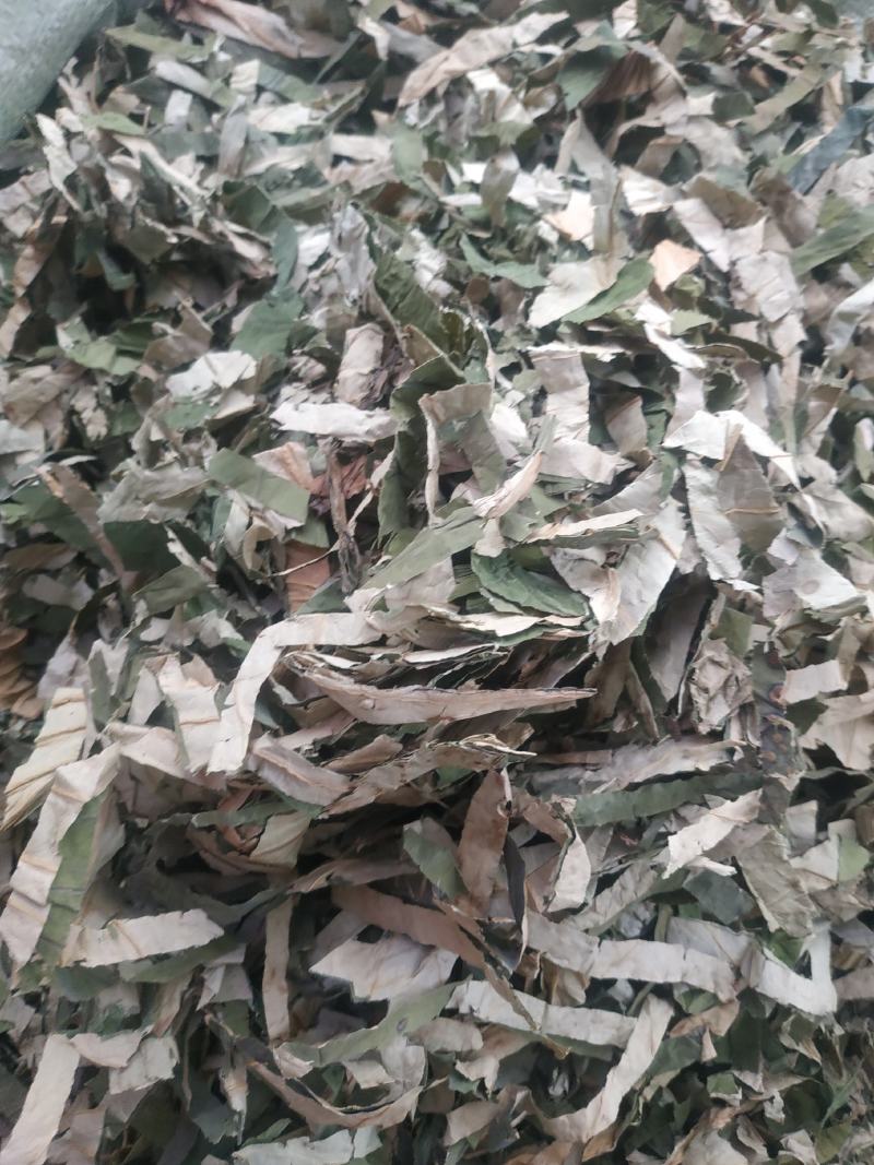 荷叶～荷叶丝@~新货量大优惠～1公斤起售~欢迎咨询采购